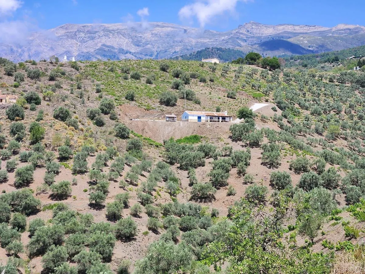 Villa Gabriel Canillas de Albaida 0*,